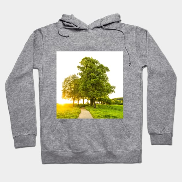 SCENERY 79 - Greens Tree Leaf Nature Wood Grassland Hoodie by artvoria